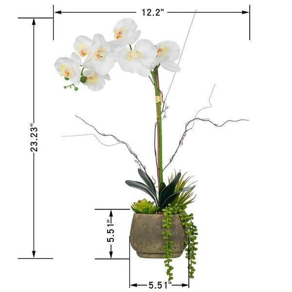 Single-stem Artificial Real Touch Silk Orchid with Succulents in Grey ...