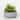 Sullivans Artificial Succulent In Cement Planter 6"H Green - 6"H x 6"L x 6"W