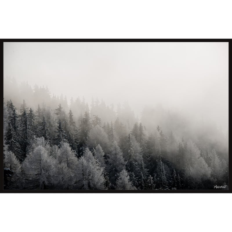 I Belong in the Forest Floater Framed Print on Canvas