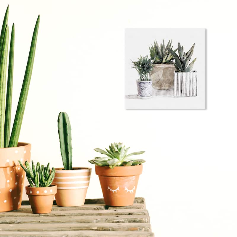 Wynwood Studio 'Succulent Gallery' Floral and Botanical Wall Art Canvas Print Botanicals - White, Green - 12 x 12