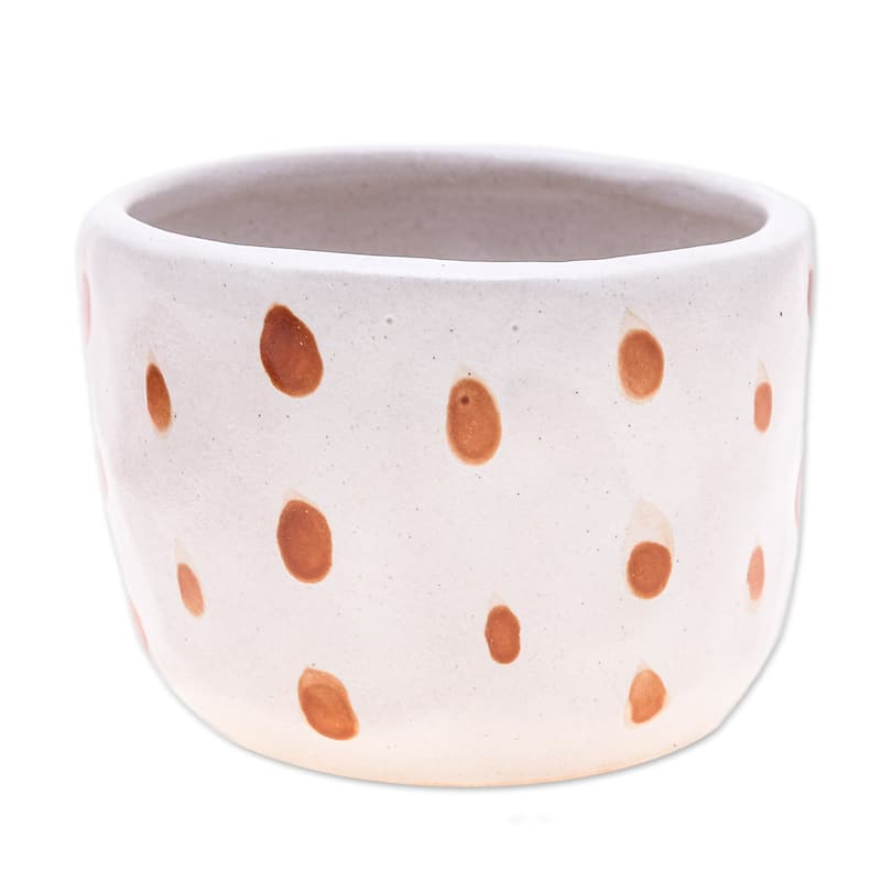 Novica Handmade Speckled Bud Ceramic Flower Pot