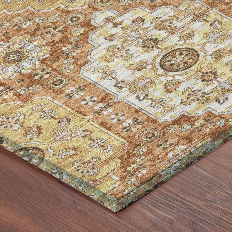 Machine Washable Indoor/ Outdoor Traditional Kiowa Chantille Rug