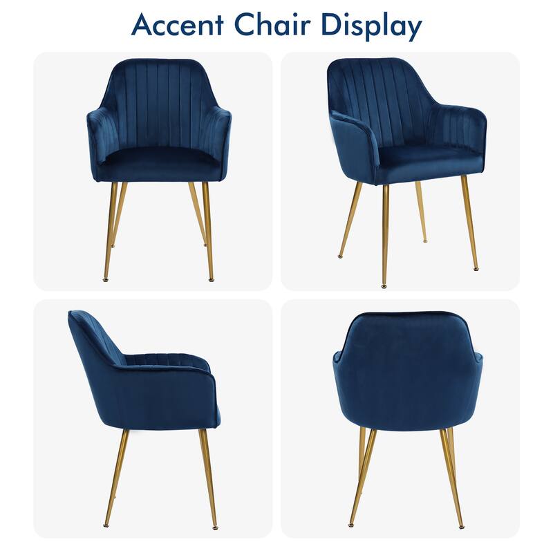 Velvet Accent Dining Chairs with Gold Metal Legs Set of 2