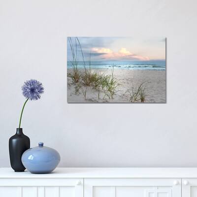 iCanvas "Beach Driftwood" by Nan Canvas Print