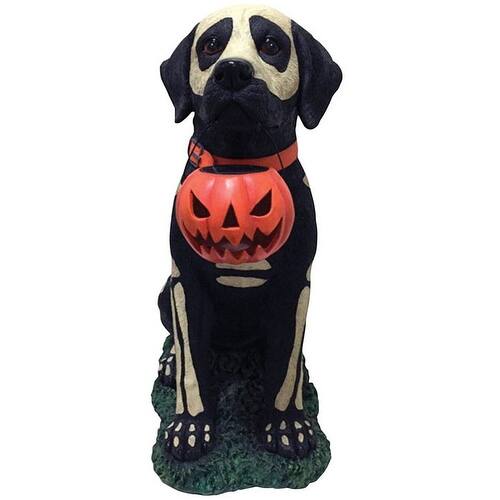 Shop Dhi 316521 Halloween Painted Skeleton Dog With Pumpkin 19 H