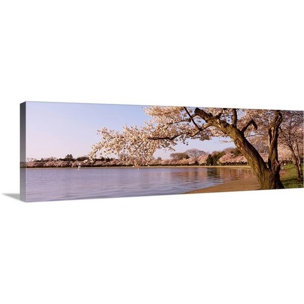 Shop Cherry Blossom Tree Along A Lake Potomac Park Washington