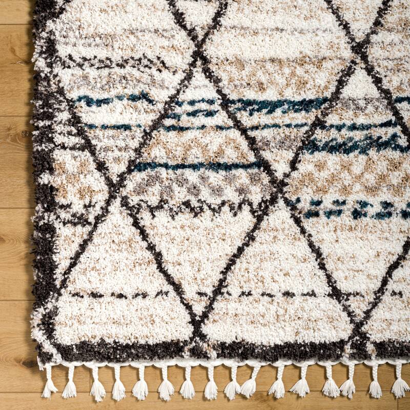 Shelby Bohemian & Eclectic Area Rug