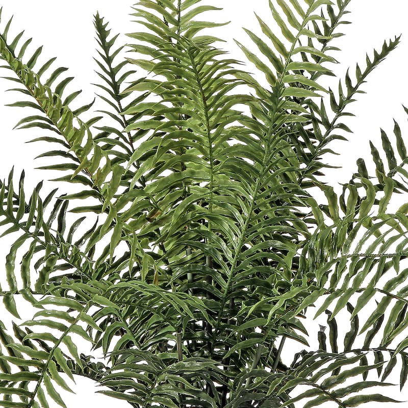 19" Potted Boston Fern