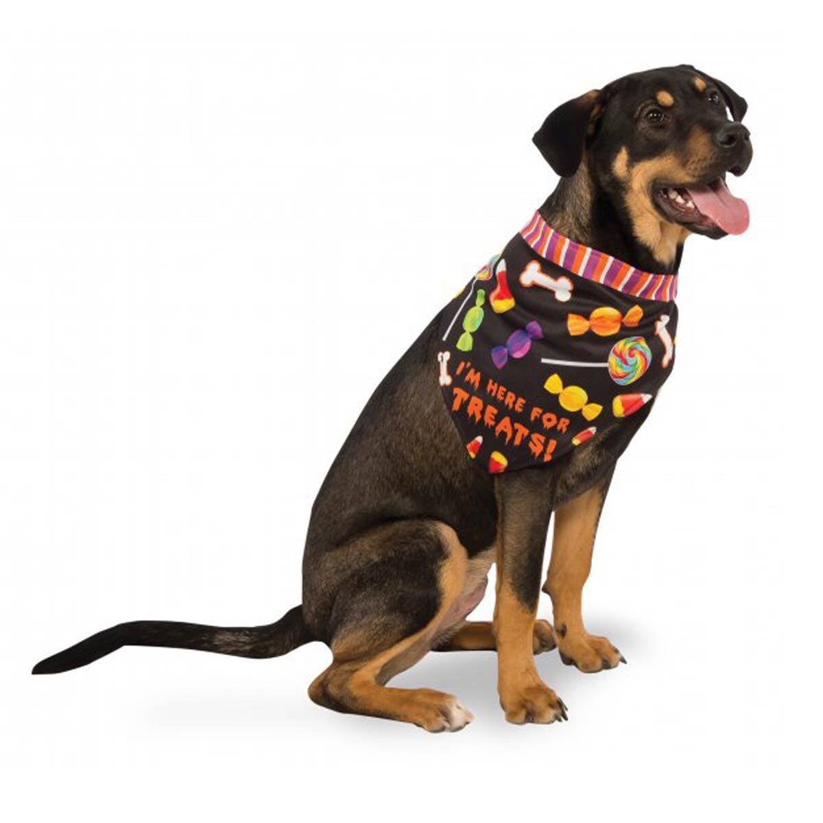 halloween dog bandana