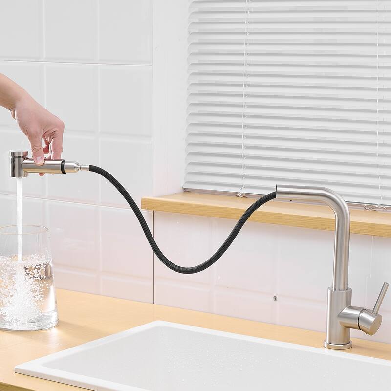 Single Handle Kitchen Faucet with Pull Out Spray