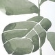 preview thumbnail 4 of 4, Uttermost Fiddle Head Leaf Botanical Prints Set/4
