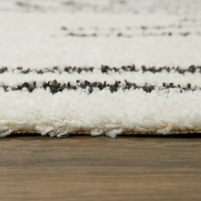 Janus Contemporary Berber Shag Area Rug