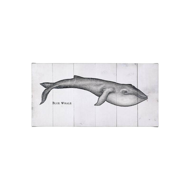 Blue Whale (40 x 20) Canvas Art Print - Small