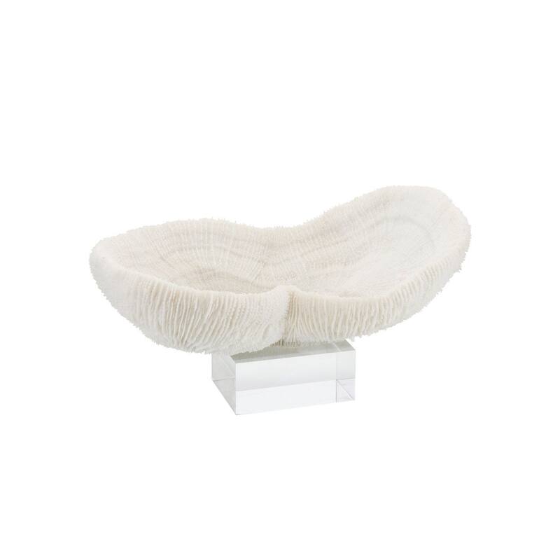 Feather Peanut Oval Coral 8-9 On Acrylic Base