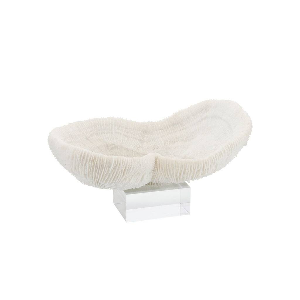Feather Peanut Oval Coral 8-9 On Acrylic Base