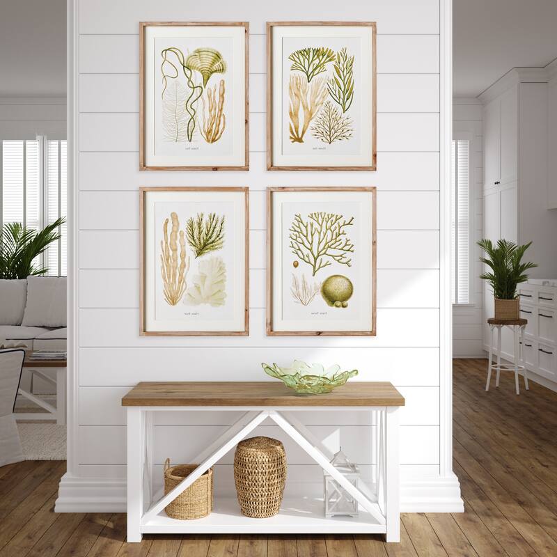 Verdant Coastal Coral Study