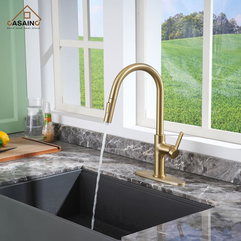 Single Handle Pull-Down Sprayer Kitchen Faucet