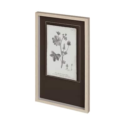 Conversations on Botany VII Framed Art Print