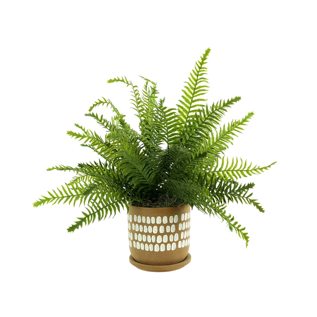 Ferns Arranged in Spotted Ceramic Pot - Green