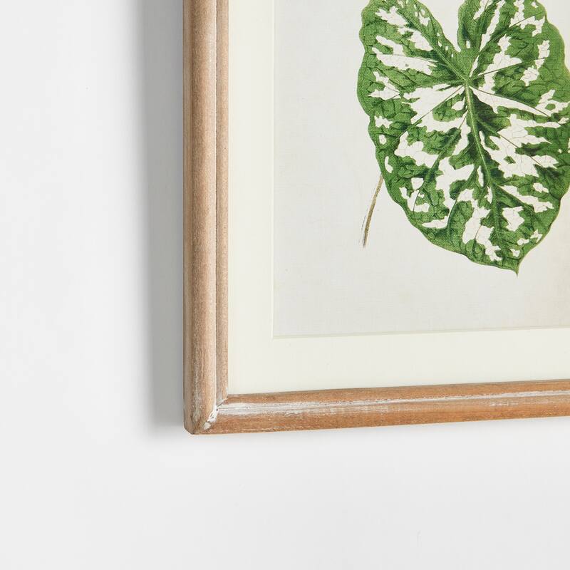 Leaf Cuttings Petite Prints