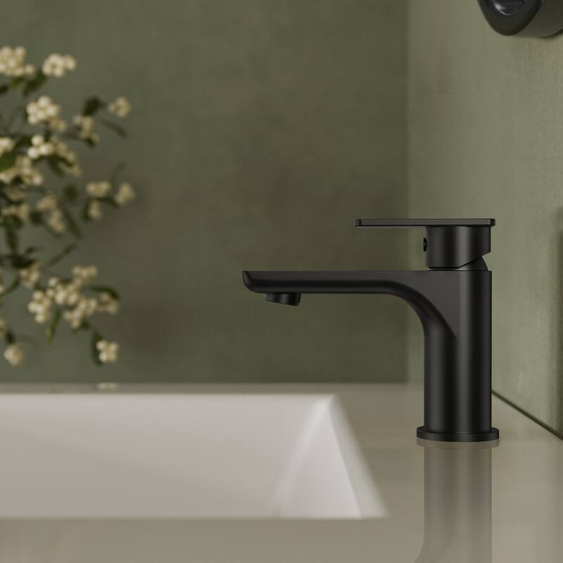 Single Hole Bathroom Faucet with Drain Assembly, Single Handle Bathroom Sink Faucet