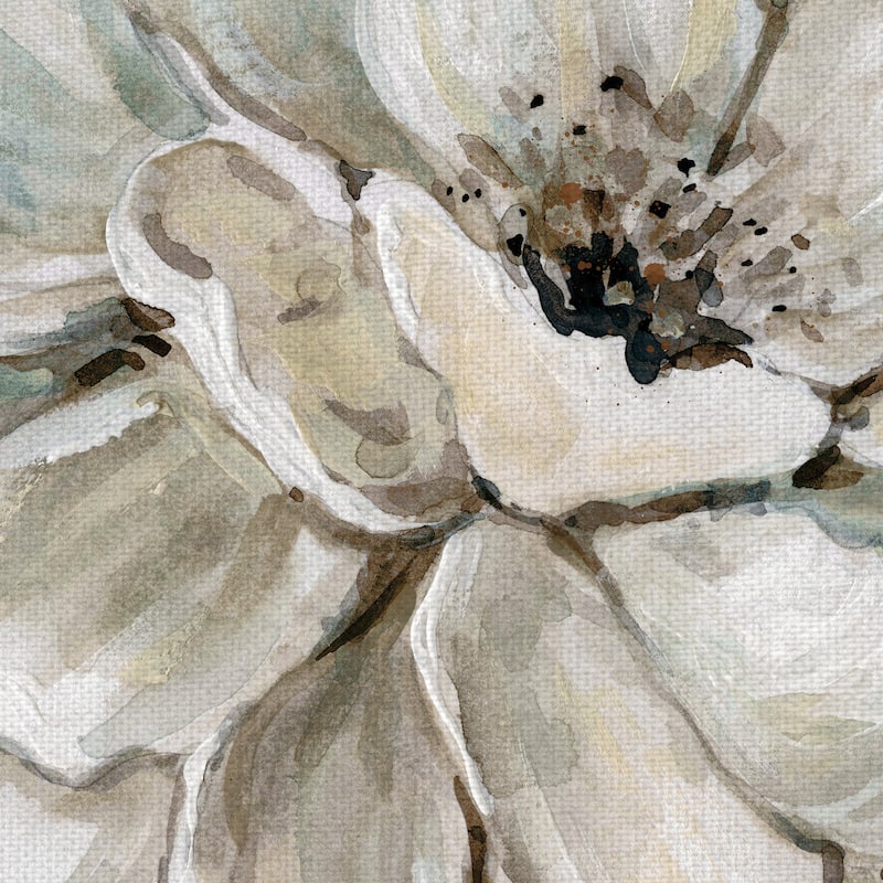 Neutral Bloom I by Galaxy of Graphics Canvas Art Print
