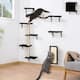 Cat Wall Perches