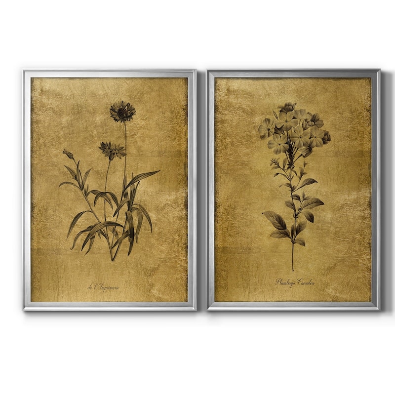 Gold Sketch Botanical I Premium Framed Print - Ready to Hang - Multi-Color