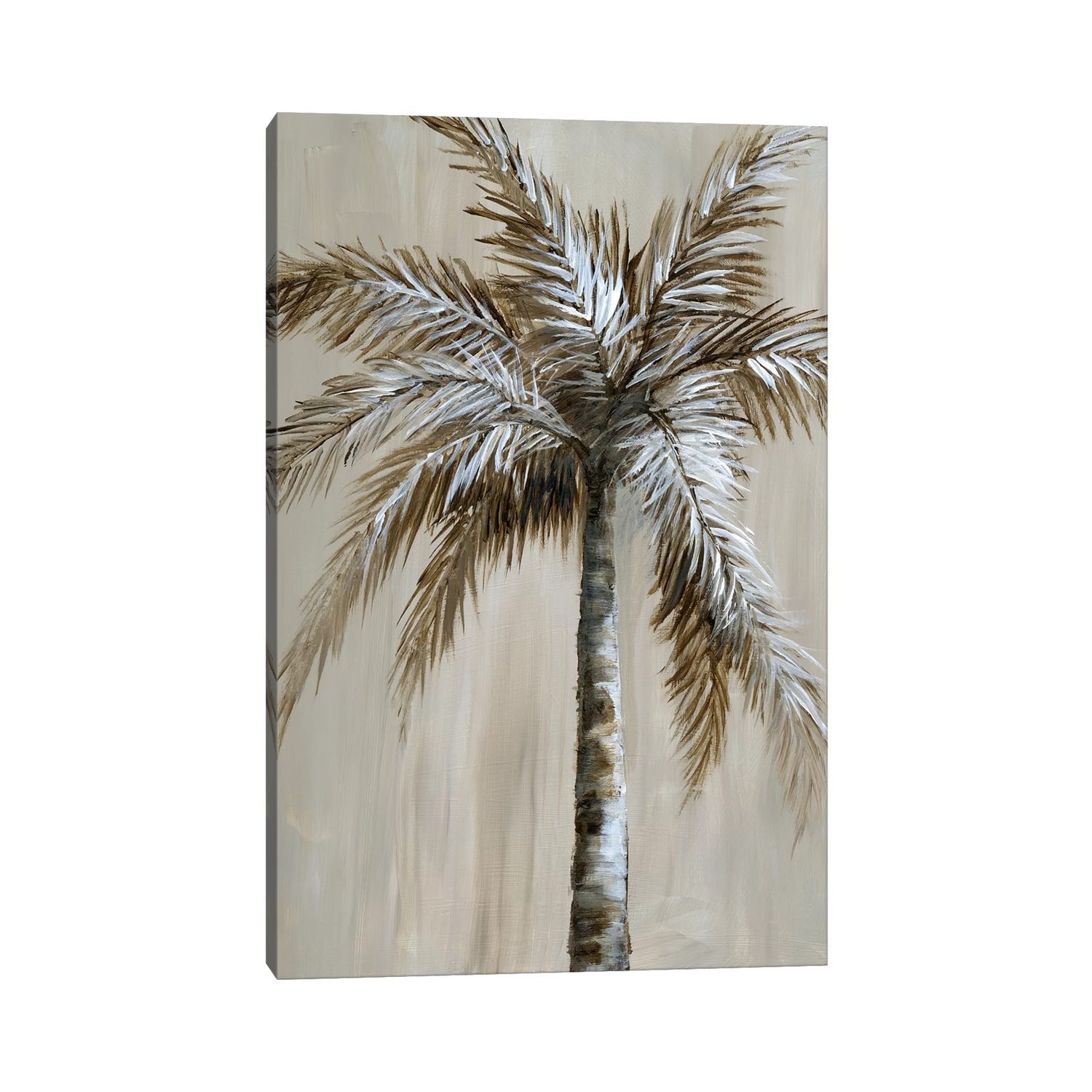 iCanvas "Palm Magic II" by Nan Canvas Print