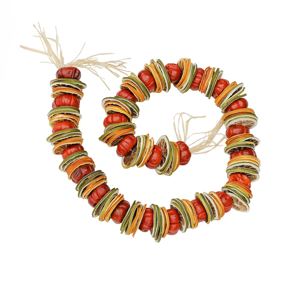 National Tree Company 4 ft. Dried Citrus & Tomato Garland - 4 ft