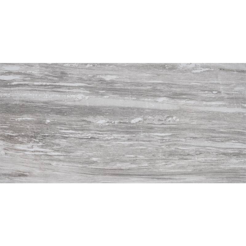 Penthouse 12x24 Polished Porcelain Tile - Floor, Wall - Large Format