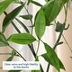 preview thumbnail 5 of 17, 6 FT Artificial Eucalyptus Tree with Round Leaves,Realistic Fake Indoor Outdoor Plant in White Pot