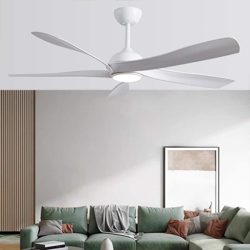 Fergus 5-Blade Lighted Ceiling Fan with LED Lamp with Remote