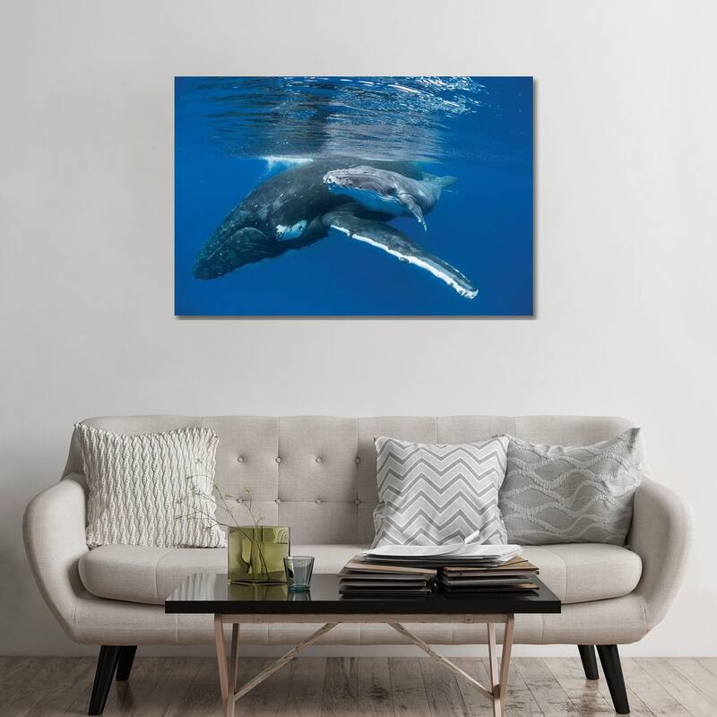 iCanvas "Humpback Whale Mother With Four Day Old Calf, Tonga" by Suzi Eszterhas Canvas Print - 32x48x1.5