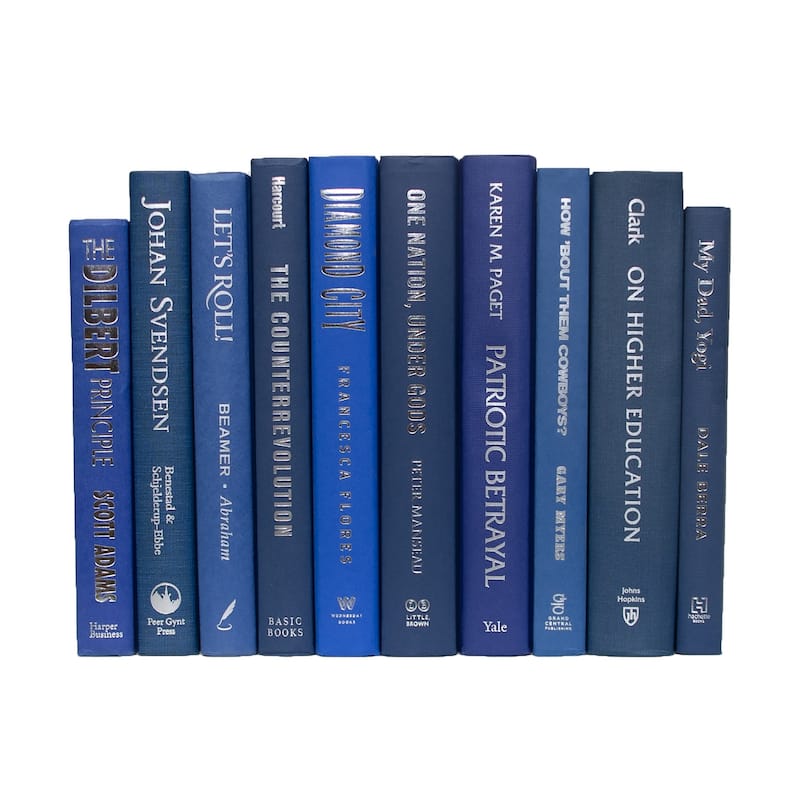 Books Blue Decorative Accessories: Denim & Silver ColorPak
