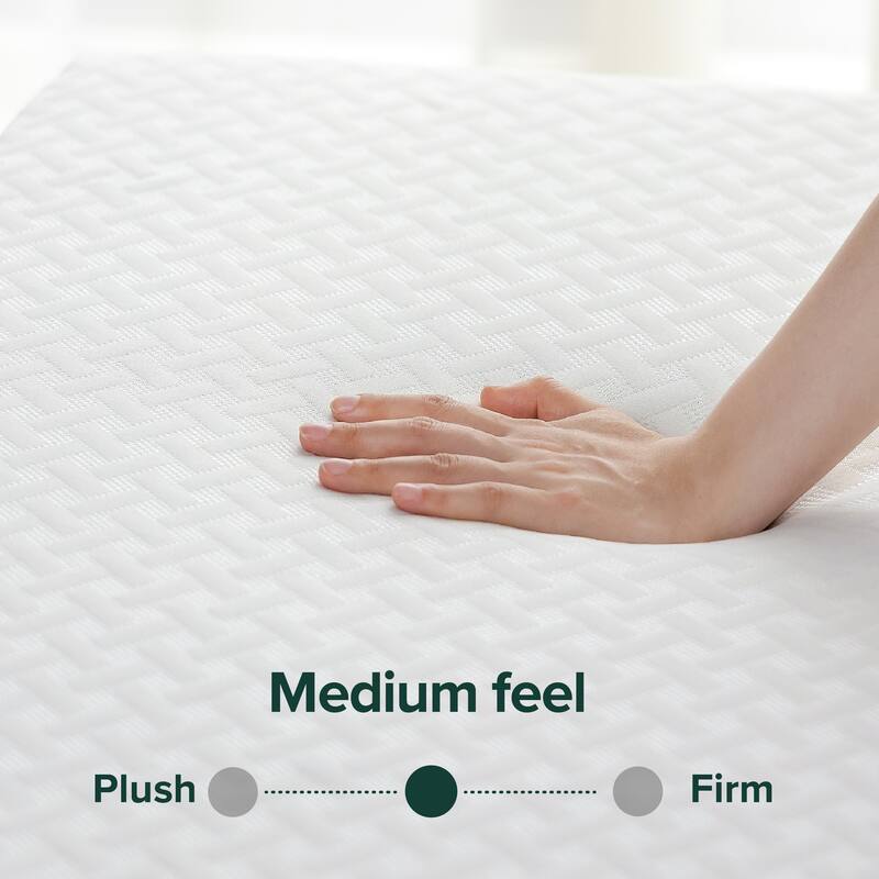 Priage by ZINUS 8-inch Green Tea Cool Mate Memory Foam Mattress - Twin