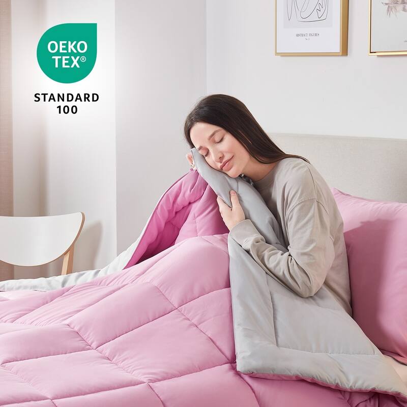 Empyrean All Season Alternative Down Lightweight Reversible Comforter Set