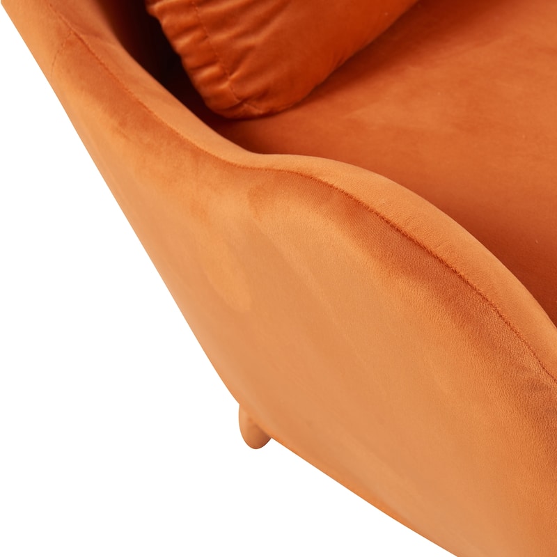 Furniture Style 2 in 1 Pet Friendly Modern Velvet Lounge Chair, Upholstered Back Accent Chair