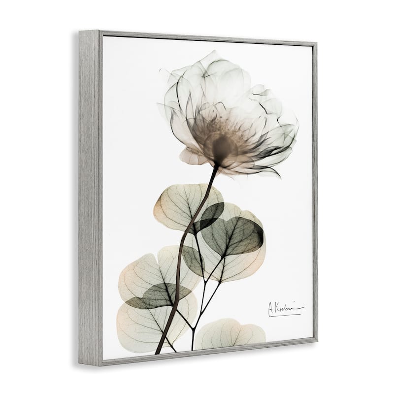 Stupell Simple Elegant White Flower Framed Giclee Art Design By Albert Koetsier