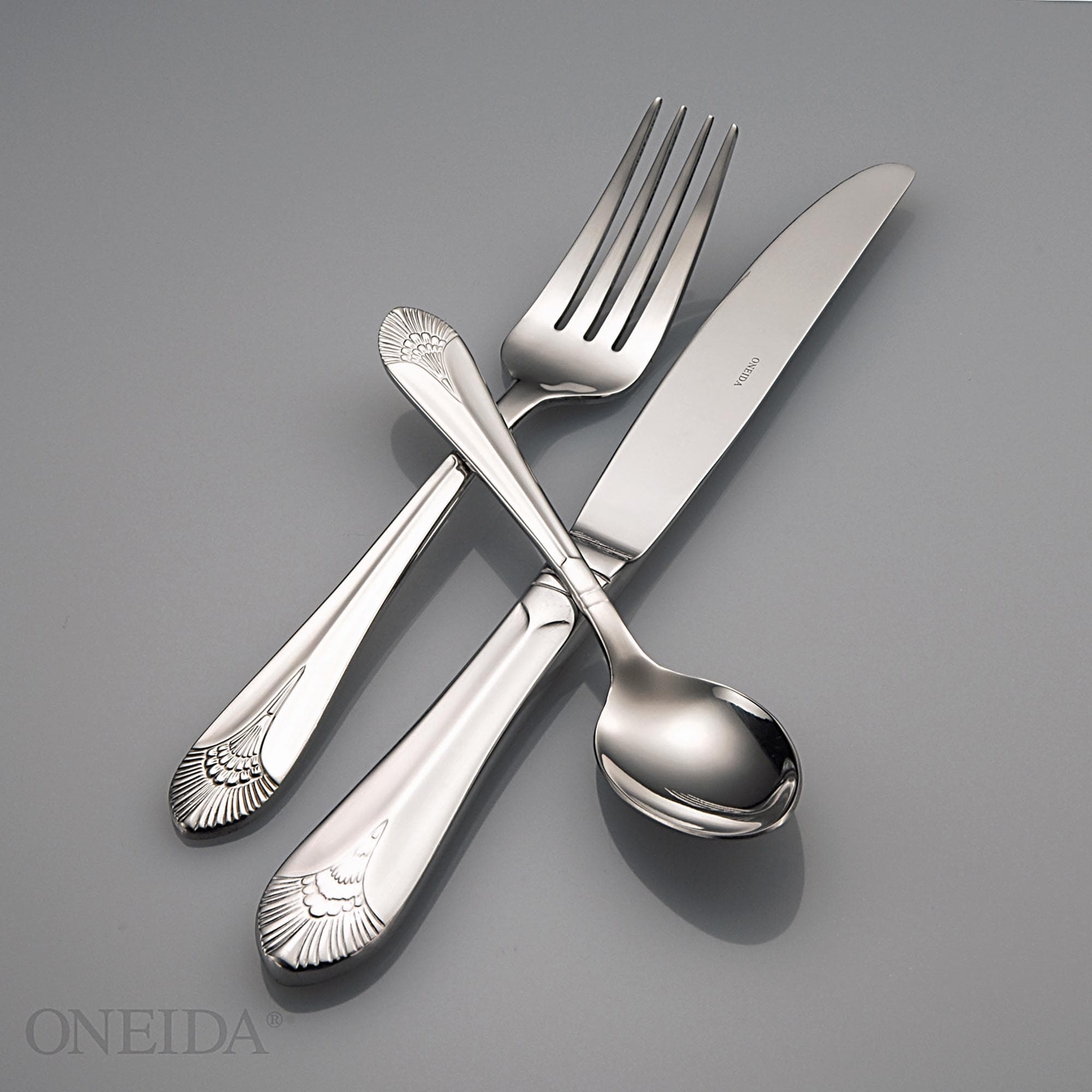 Oneida 18/10 Stainless Steel Lido Table Knives (Set of 12) - Bed Bath &  Beyond - 32644610