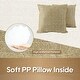 preview thumbnail 4 of 9, Outdoor/Indoor Throw Pillows, Decorative Throw Pillows with Inserts, Simulated Straw Weaving 18"x18" Square Pillows (Set of 2)