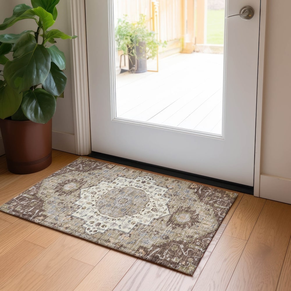 Machine Washable Indoor/ Outdoor Traditional Medallion Chantille Rug