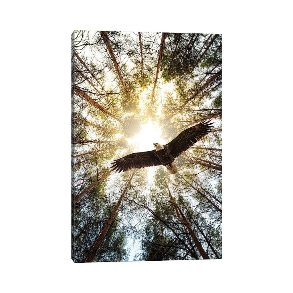 iCanvas "Master Of Heaven Bold Eagle" by Nik Rave Canvas Print