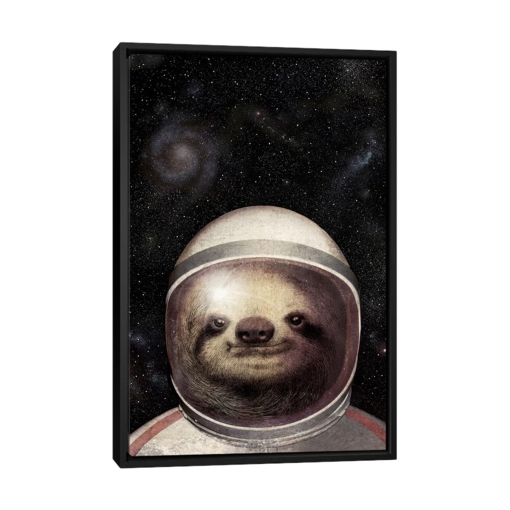 iCanvas "Space Sloth" by Eric Fan Framed Canvas Print
