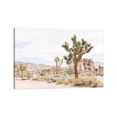 iCanvas "Joshua Tree, Mohave Desert" by lovelylittlehomeco Canvas Print