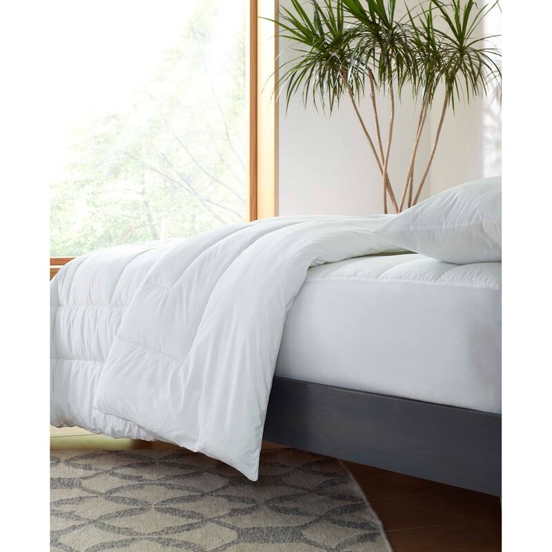 Clean Design Home x Martex Anti-Allergen White Comforter