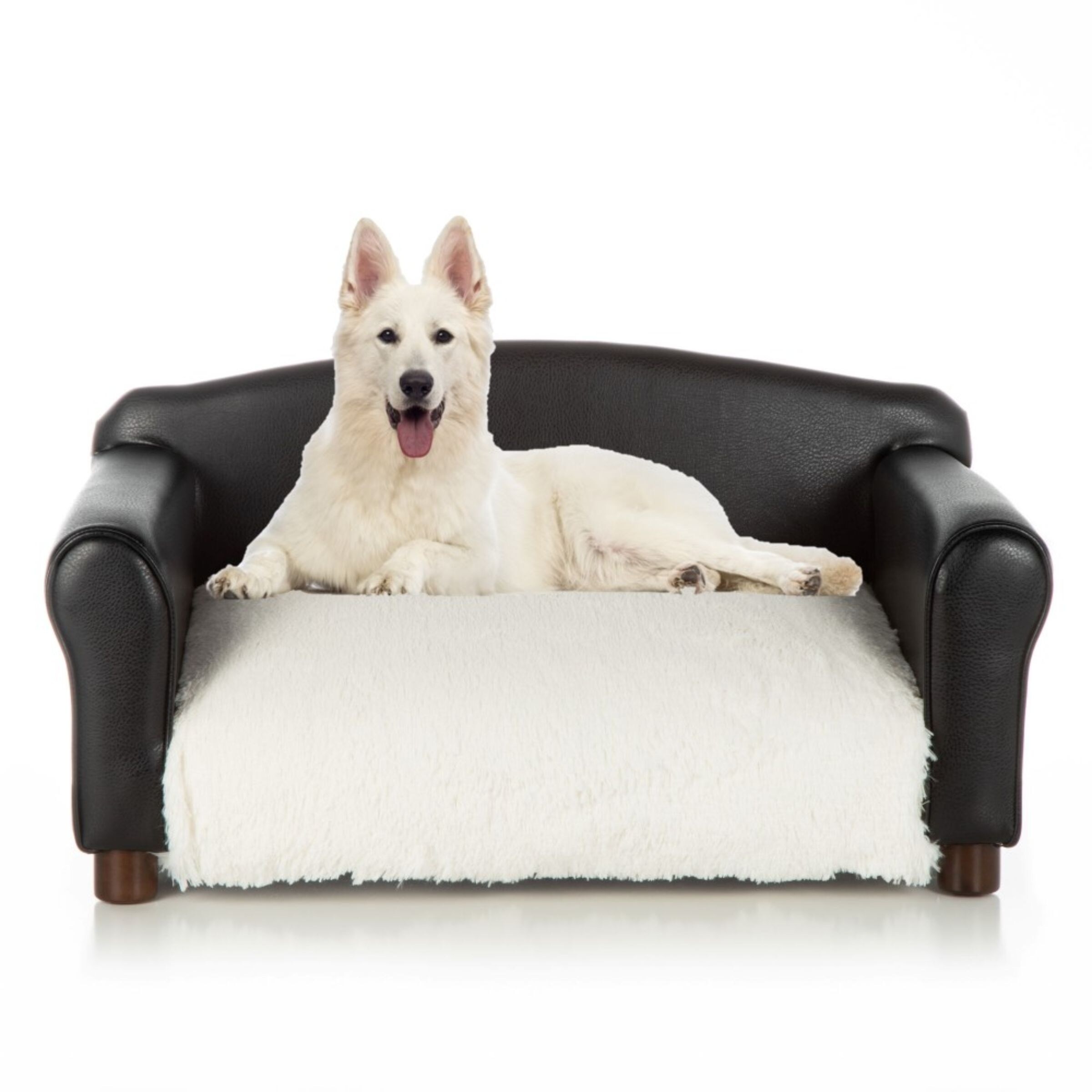 dog couch canada
