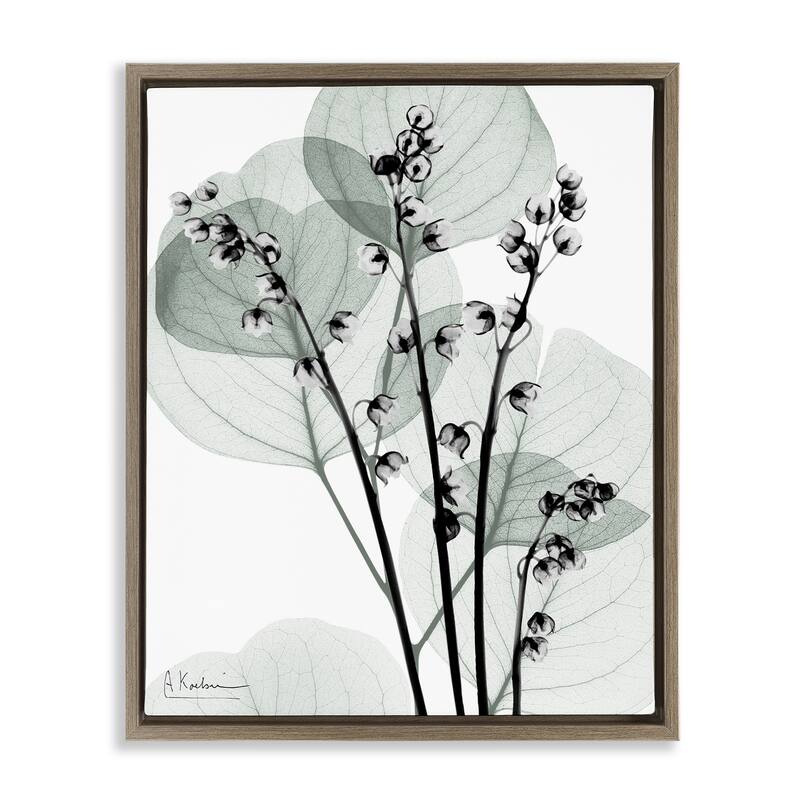 Stupell Fresh Minimalist Herbs Framed Floater Canvas Wall Art Design By Albert Koetsier - 25 x 31 - Brown
