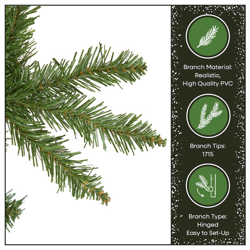 National Tree Company 10 ft. Kingswood Fir Pencil Tree - 10 Foot
