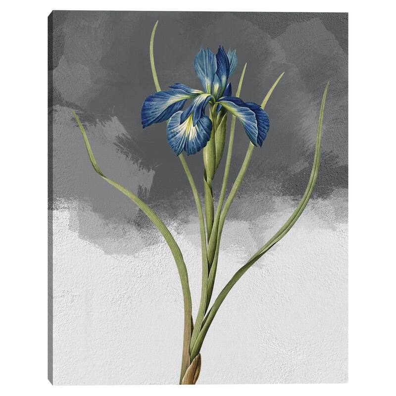 Blue Iris Grey by Design Lab Canvas Art Print